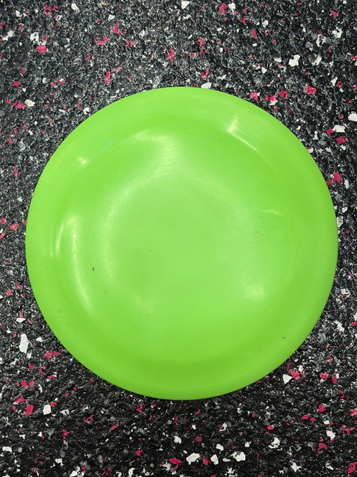 Trash Panda Procyon | 11.5/4/-1/2