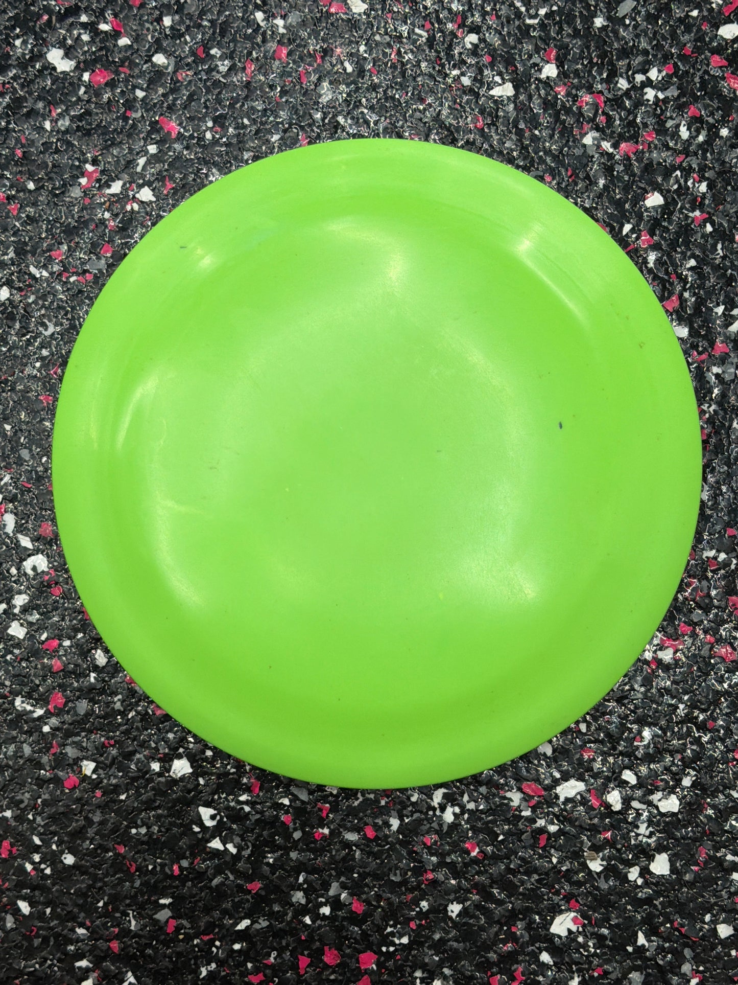 Trash Panda Procyon | 11.5/4/-1/2