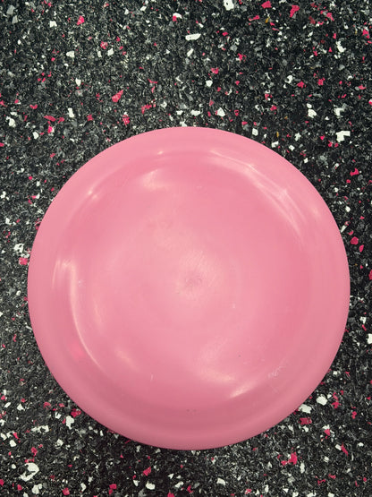Trash Panda Procyon | 11.5/4/-1/2