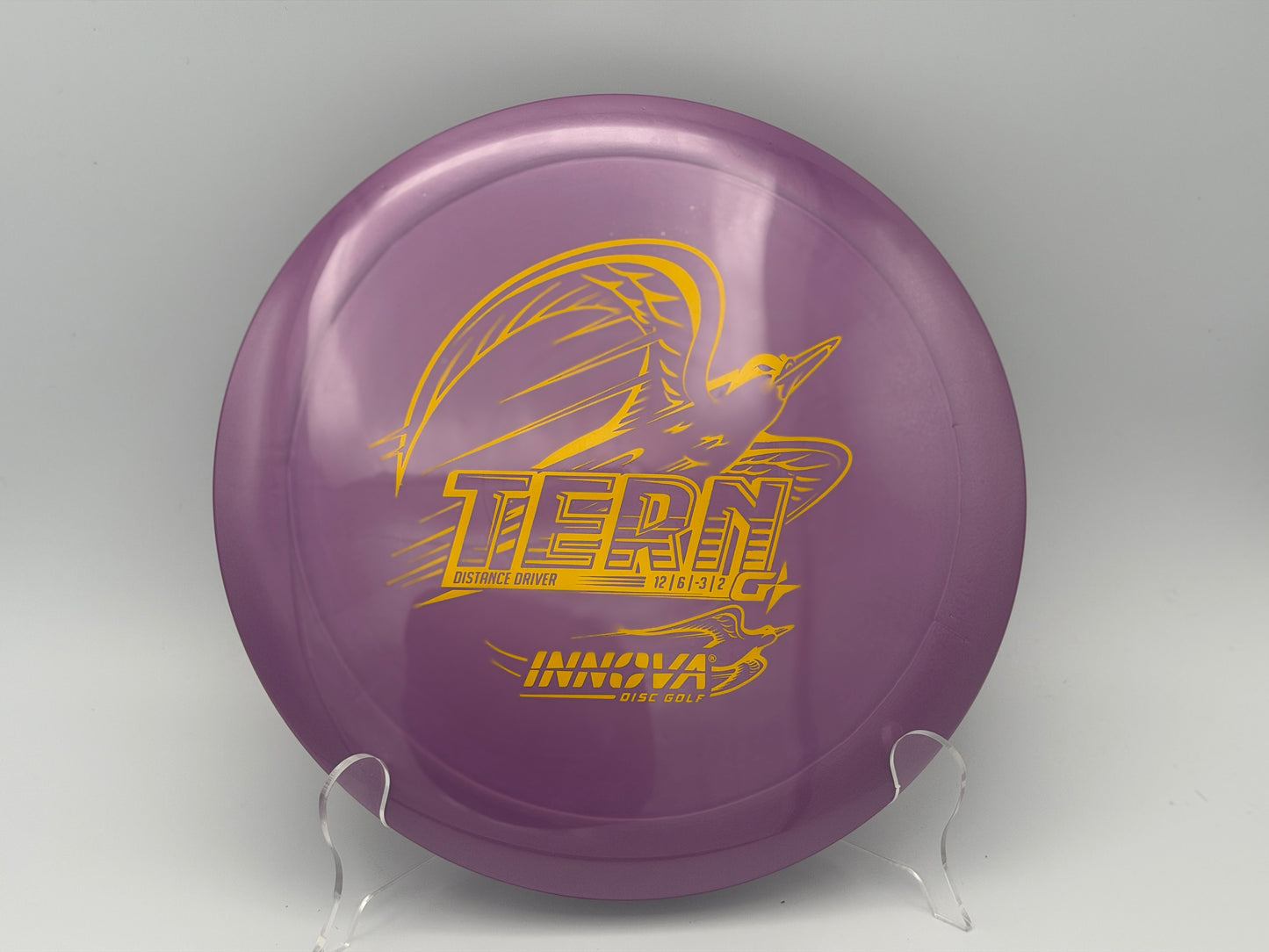 Innova Tern | Gstar | 12/6/-3/2